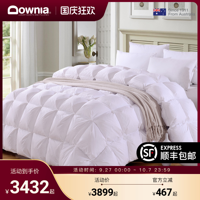 downia加厚保暖羽绒被冬季被芯