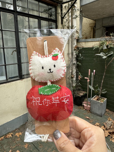 【成品】祝你苹安好运小猫不织布挂件成品 朋友礼物 毕业礼物