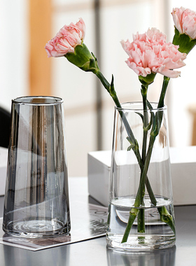北欧ins风简约玻璃花瓶网红迷你水培绿植鲜花插花瓶客厅摆件装饰