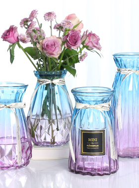 北欧ins风玻璃花瓶简约创意网红水培绿植鲜花插花瓶客厅摆件装饰