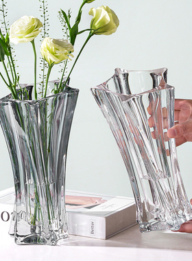 小众加厚玻璃花瓶轻奢高级网红捷克水养鲜花插花瓶桌面客厅摆件