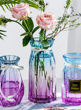【三件套】创意玻璃花瓶网红水养鲜花富贵竹餐桌客厅插花装饰摆件
