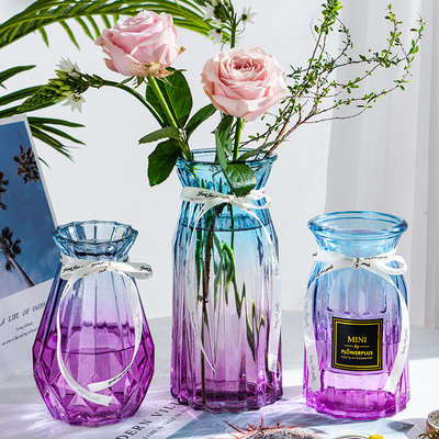 【三件套】创意玻璃花瓶网红水养鲜花富贵竹餐桌客厅插花装饰摆件