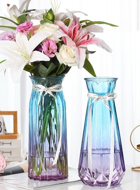 北欧特大号30CM高玻璃花瓶水培富贵竹透明百合插花瓶摆件客厅