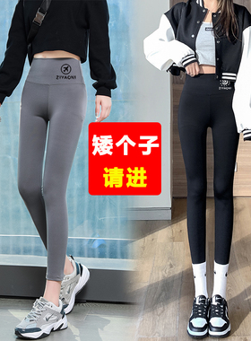 灰色沙鱼打底外穿裤春秋款鲨皮裤小个子飞机芭比裤薄款八分鲨鱼裤