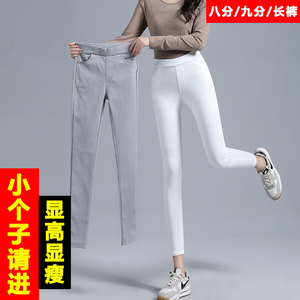 白色魔术裤c女春秋小个子八分打底裤矮个子九分显瘦小脚紧身小白