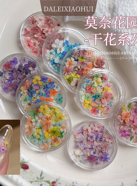 美甲油画干花 春季新款网红立体混装五瓣花diy指甲素材小碎花装饰