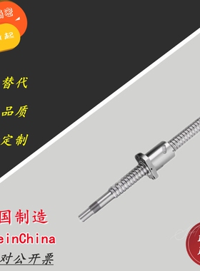 滚珠丝杠BTWE2505 2510 2525高精度直线导轨丝杆螺母精密螺杆定做