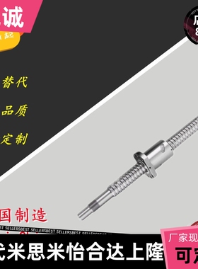 滚珠丝杠BTWE2505 2510 2525高精度直线导轨丝杆螺母精密螺杆定做