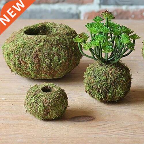 Moss pot home decor office table garden flowers bird's ne