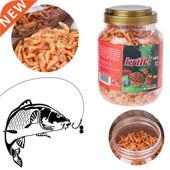 Food Turtle Aquarium Fish Feeding Tropical Foods Cichlid