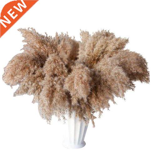 30 Stems Dried Pampas Grass,Wild Pampas Grass Fluffy Pampas