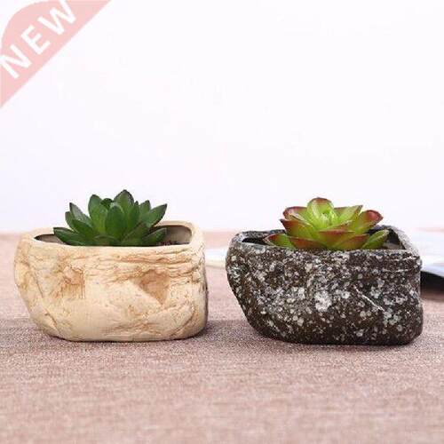 Bonsai Cactus Planter Pots Succulent Plant Flower Pot