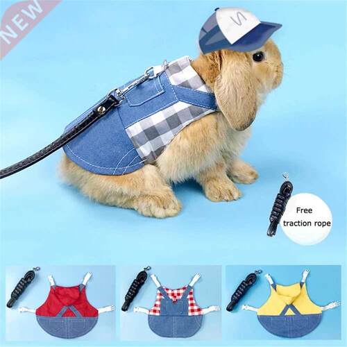 Cute Bunny Vest Harness Outdoor Leash Set Rit Clothing