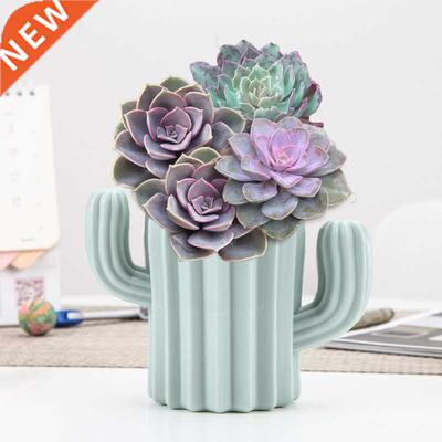 Nordic Cactus Vases Modern Flower Vase Pots Home Interior De