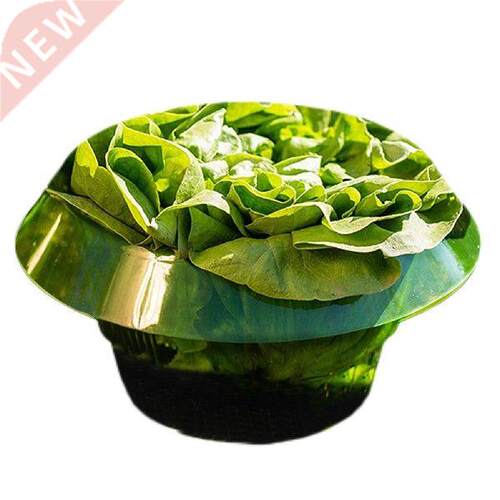 Snail Collar Plant Protection Efficient Green Vegetable