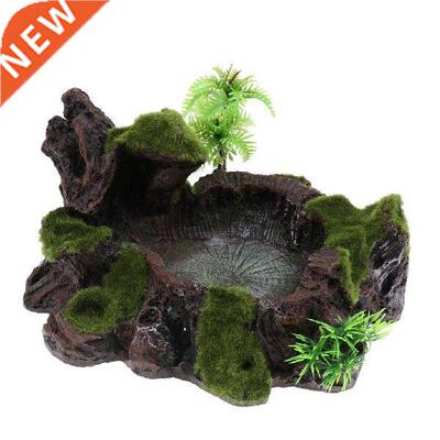 Resin Amphibians Reptile Feeding Rock Bowl Water Drinking