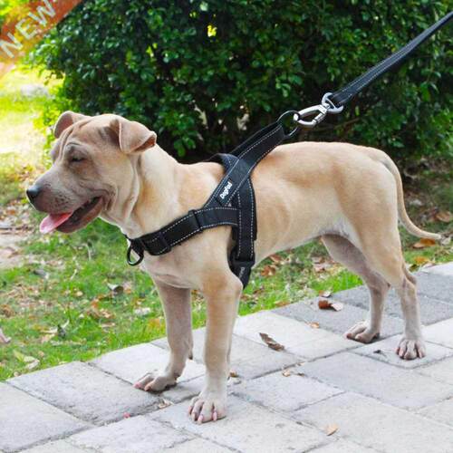Dog Harness Easy On and Off Adjustable Medium Large Dogs,Ref