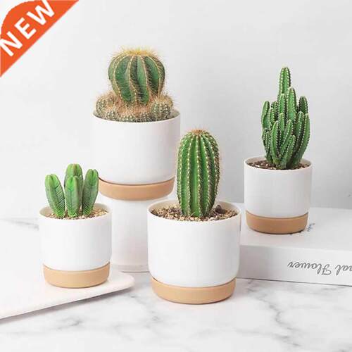 Succulent Plant Pot Double-layer Imitation Ceramic Plastic G