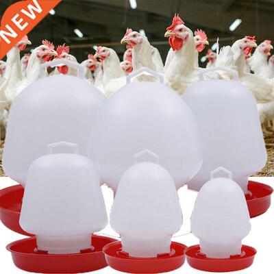 Round Bubble Chicken Drinking Fountain Device Hanging Cup Wa