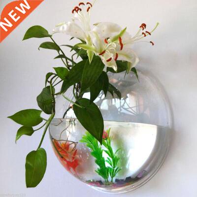 2 sizes Pot Plant Wall Mounted Hanging Aquarium Transparent