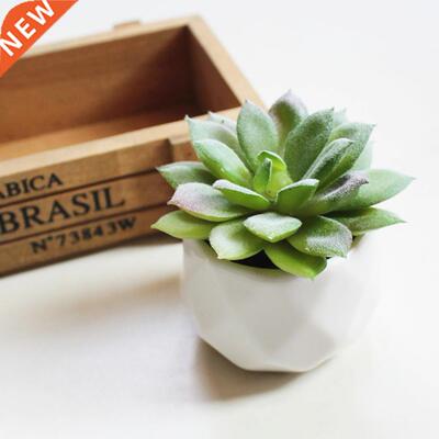 Succulents Potted Simulation with Flower Pot Mini Different