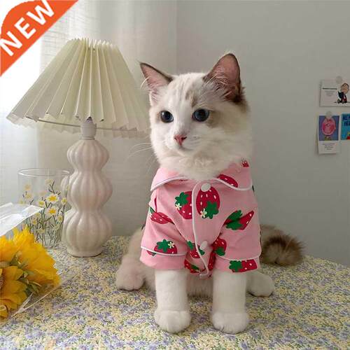 Spring Cat Costume Cute Cozy Pet Clothes for Cats Katten Ked