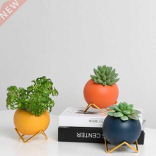 Ceramic Succulent Pot Desktop Succulents Planter With Iron