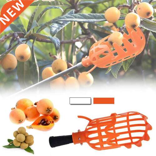1 Pc 20*9cm Orange Plastic Fruits Picking Tool Without Pole