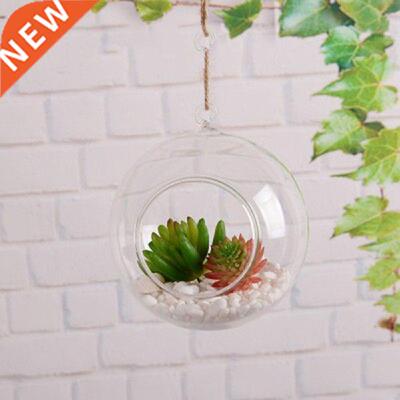1pcs Clear Glass Ball Globe Shape Terrarium Ball Flower