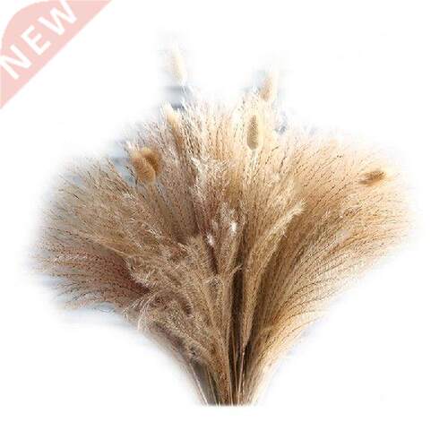 BMDT-60Pcs Pampas Grass - Natural Hay Bouquets For Bohemian