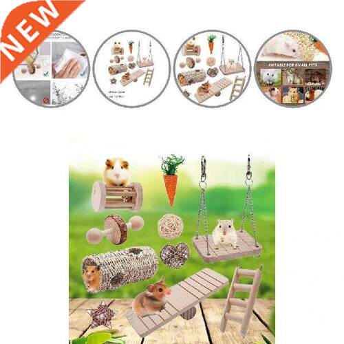 Creative 10Pcs Safe Guinea Pig Hamster Ball Toys Mixed