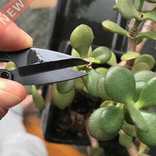 Garden Snips Shears Gardening Secateurs For Succulent onsai