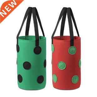 Hanging Strawberry Planter - 12 Planting Holes Felt Cloth 2