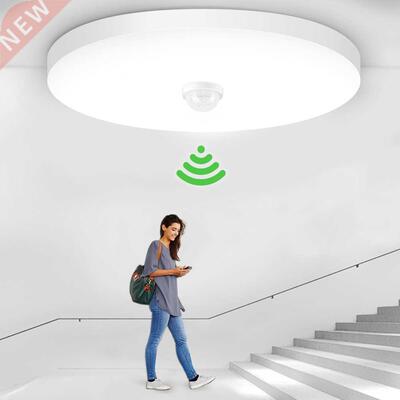Motion Sensor Night Light Led Lp with PIR Sensor Ceiling