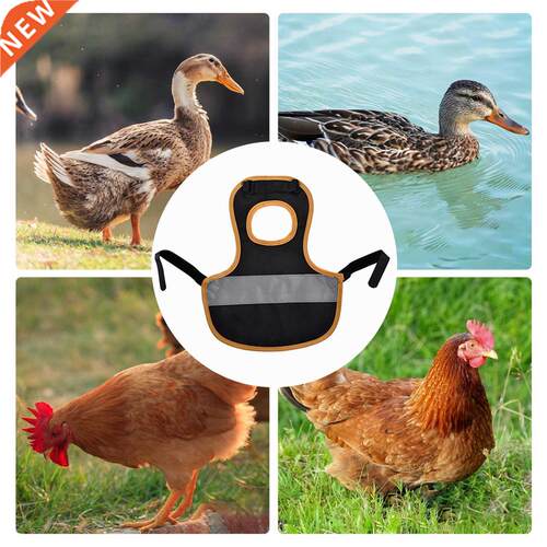 Chicken Saddle for Hens Poultry Apron with Elastic Strap