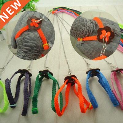 Parrot Bird Leash Outdoor Adjustable Harness Training Rope