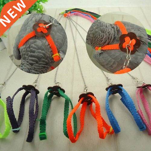 Parrot Bird Leash Outdoor Adjustable Harness Training Rope
