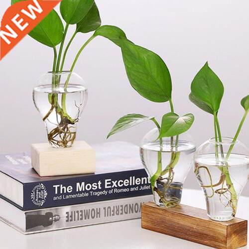 Glass Planter with Wooden Stand Hydroponics Plants Bulb Desk