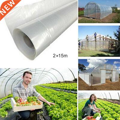 15m Transparent Vegetable Greenhouse Agricultural