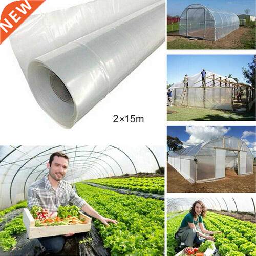 15m Transparent Vegetable Greenhouse Agricultural