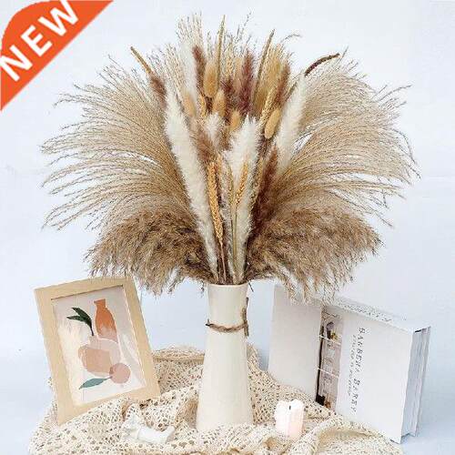 Natural Dried Pampas Grass Dried Flowers Decoration Fluffy