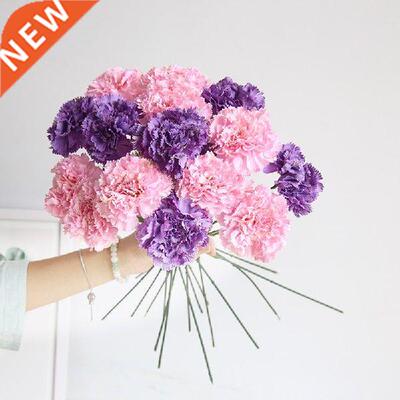 Carnation Flower for M's Day Teacher's Day