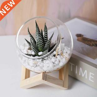 landscape Vase Micro and Creative Flowerpot Succulent Glass