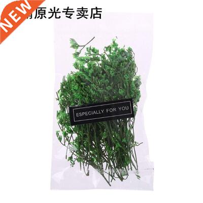 1 Bag Real Pressed Dred Flowers Floral Plants Embellshment
