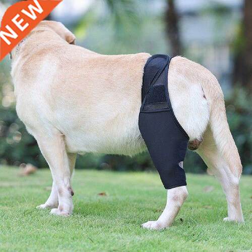 Dog Knee Pads Leg Pet Recovery Bandage Dog Protector