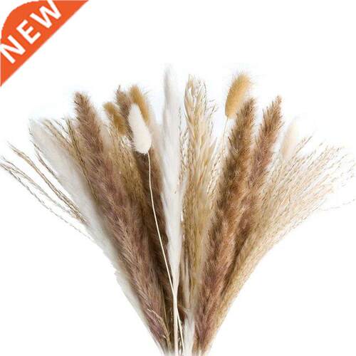 72 Pcs Pampas Grass - Fluffy White/Brown Pampas, Reed Grass
