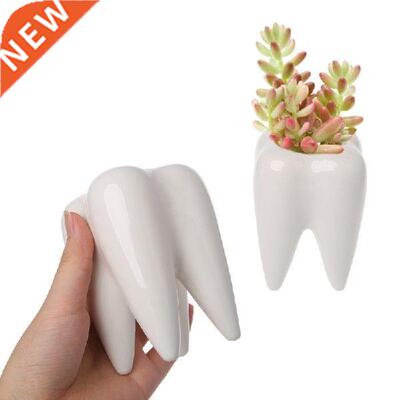 Tooth Shape Ceramic Flower Pot Green Succulent Planter