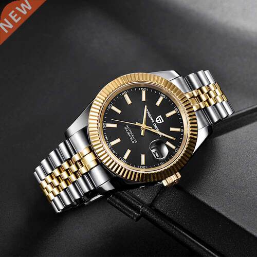 PAGANI DESIGN Luxury Men Watch Stainless Steel Waterproof M