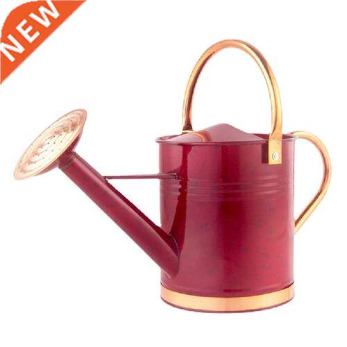 Watering Can Pot Kettle Bottle Plant Flower Garden Iron